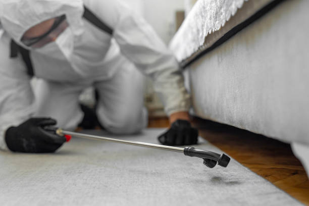 Professional Pest Control technician working in Hamilton County County, TN